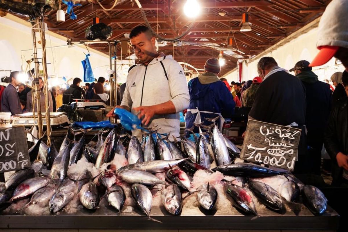 チュニスの魚市場