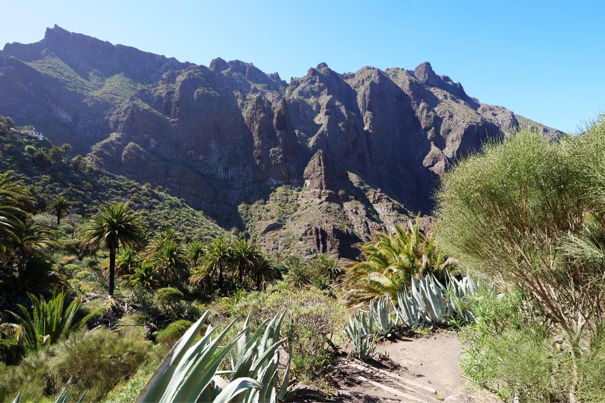 テネリフェ島のマスカ渓谷です。