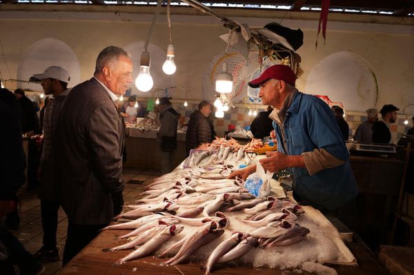 アンドラ「地中海沿岸とカナリア諸島の旅」の写真：チュニスの魚市場