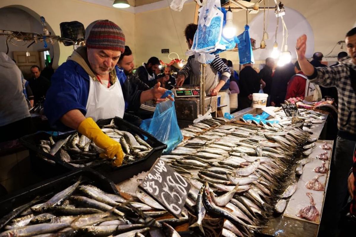 チュニスの魚市場