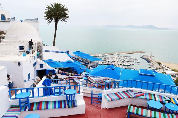 アンドラ「地中海沿岸とカナリア諸島の旅」の写真：チュニス近郊にあるシディブサイドの街並み