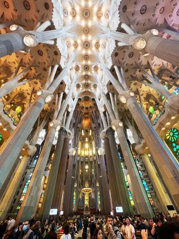アンドラ「地中海沿岸とカナリア諸島の旅」の写真：サグラダファミリア内観