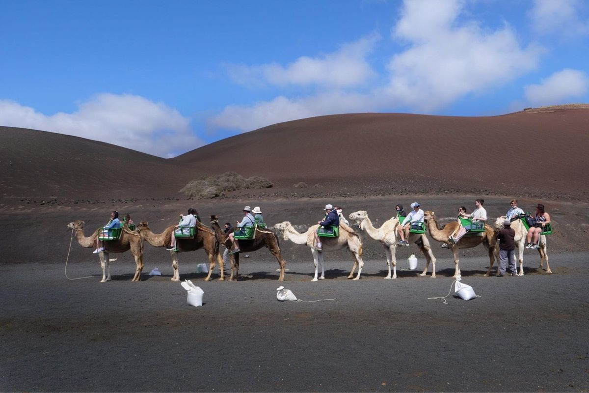 スペインのランサローテ島の国立公園