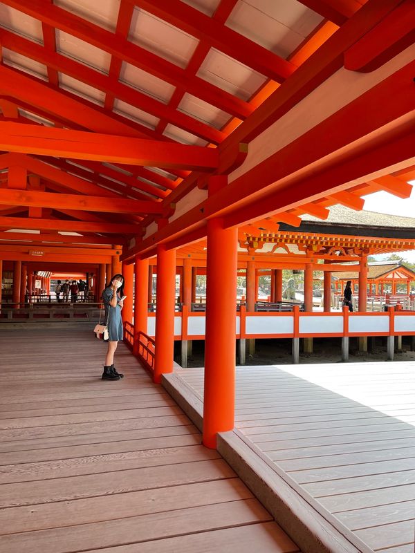 日本・徳島県「広島and四国」の写真