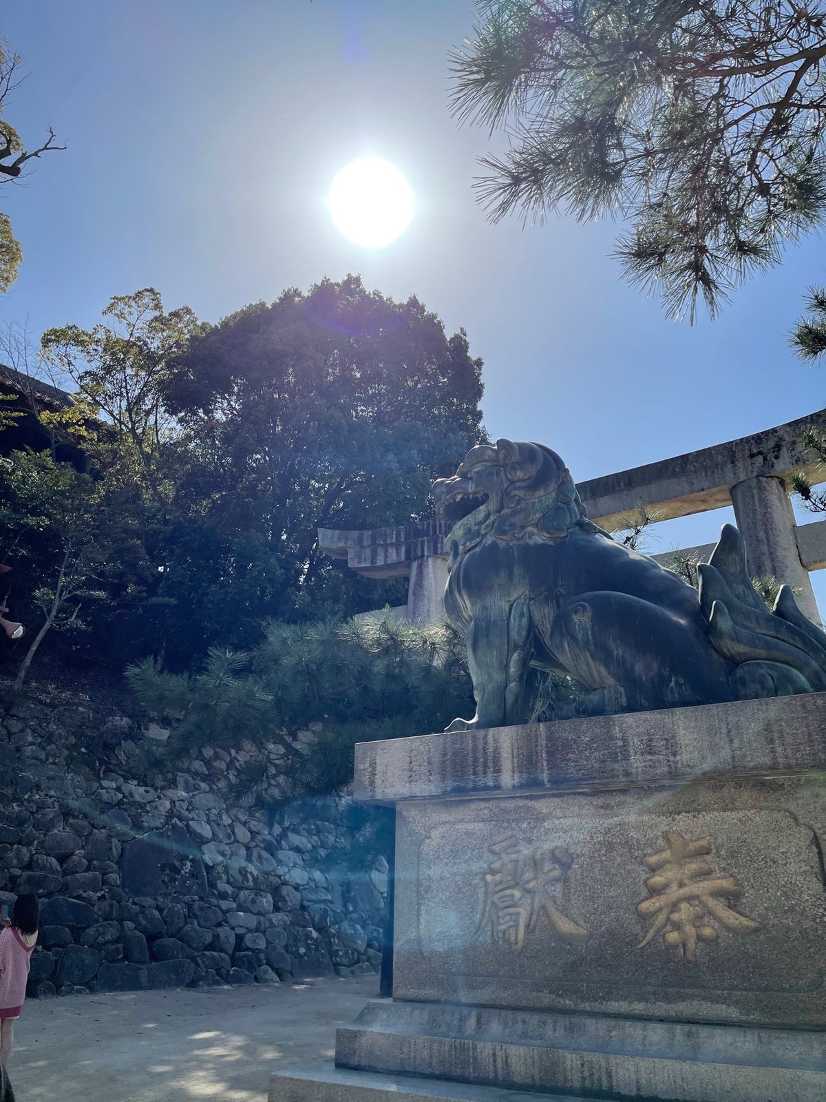 宮島の牡蠣✨焼き牡蠣も牡蠣フライも生牡蠣も良かったけど…蒸した牡蠣は最高で...