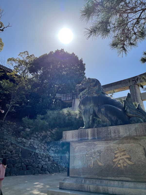 日本・徳島県「広島and四国」の写真：宮島の牡蠣✨焼き牡蠣も牡蠣フライも生牡蠣...