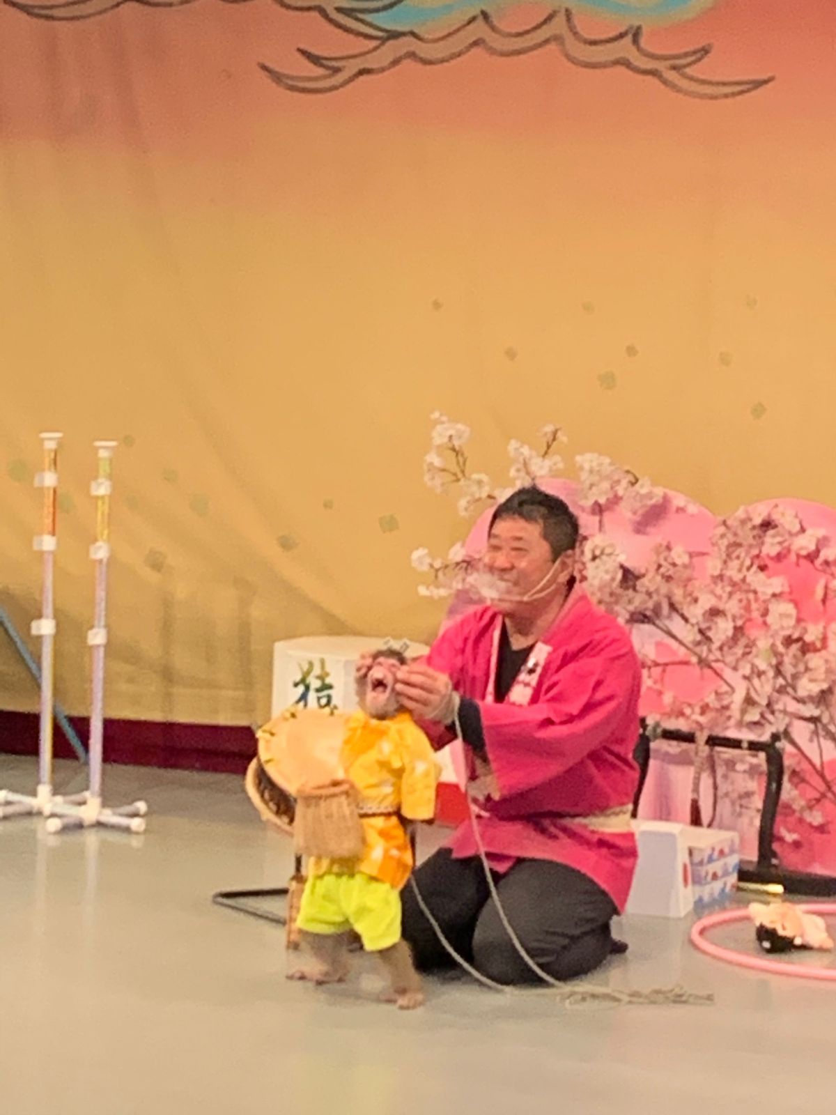 河口湖猿まわし劇場へ。
5代目チョロ松くん大活躍。