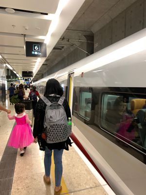 早速できたばかりの深圳行きの新幹線に乗り中国に渡る！

新幹線は一瞬で終わ...