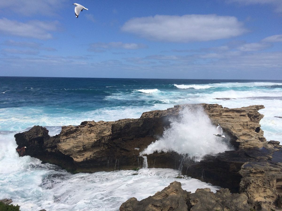 @Rottnest Island
Quokkaを探してレンタサイクルで島一周