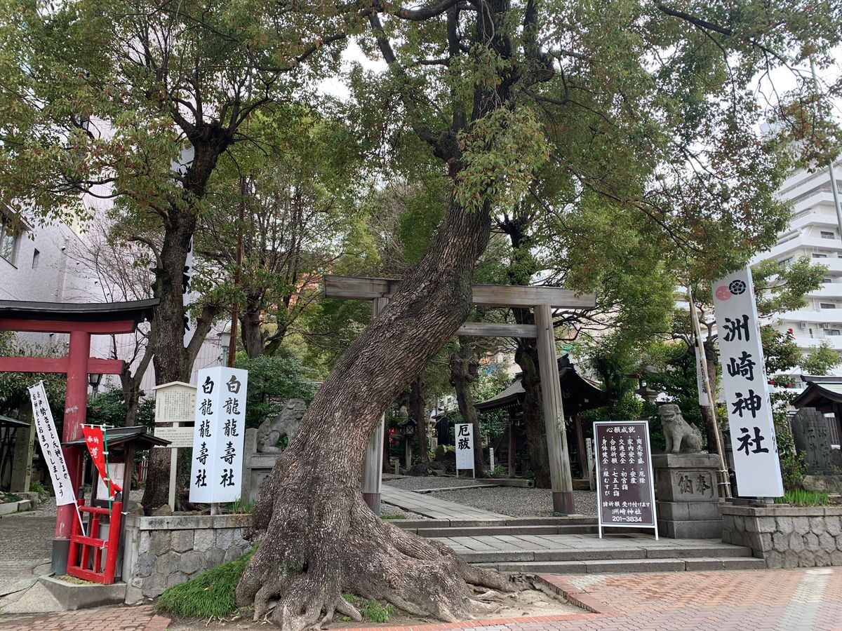 ゆっくりチェックアウト　
ホテル近所の洲崎神社に参拝後
芳光さんで　わらび...