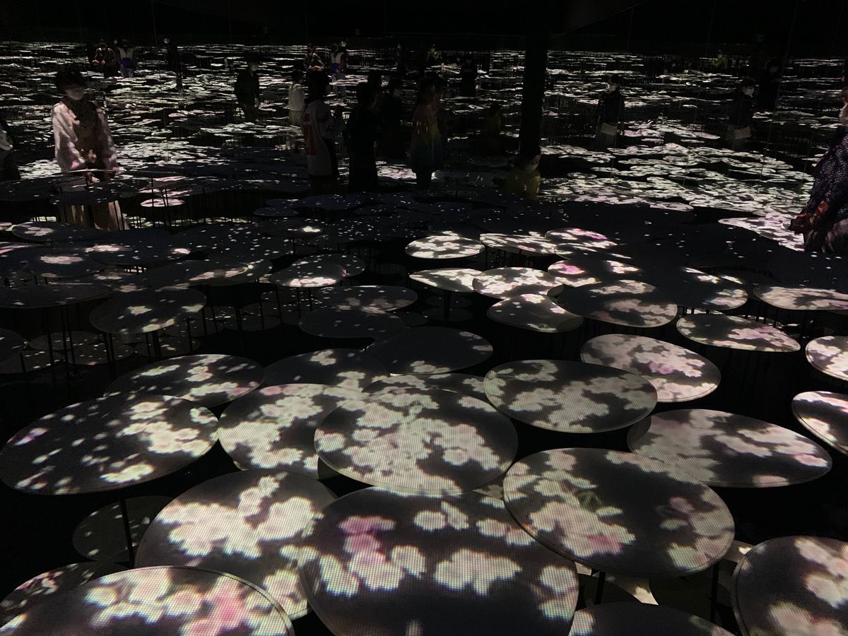 新幹線から富士山がよく見えた！
それだけでテンション上がります。
品川から...