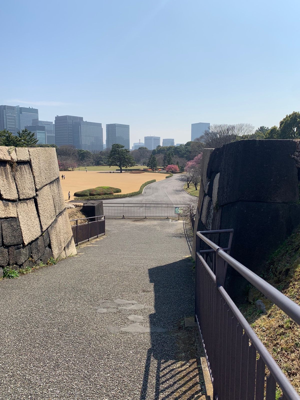 朝食はラウンジで和食をいただき　
皇居に出かけました
予約無く入れる東御苑...