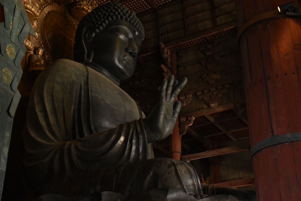 東大寺！
桜が綺麗！