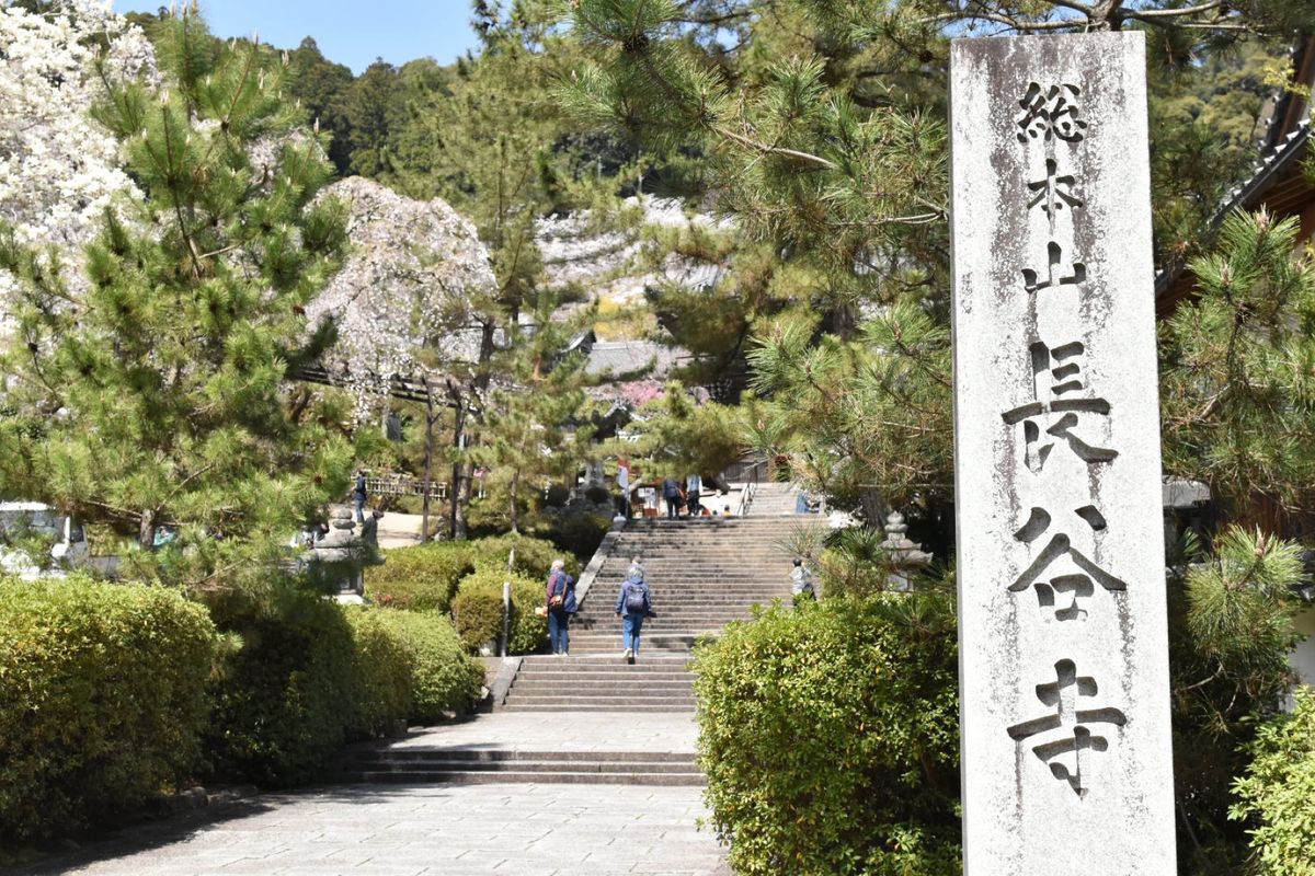 長谷寺！①

桜がちょうどよかった！