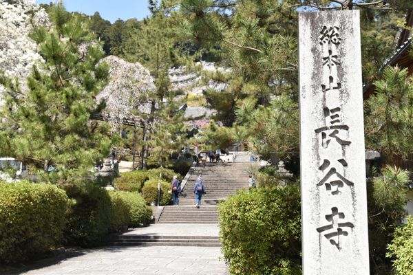 日本・奈良県「のんびり奈良旅！」の写真：長谷寺！①

桜がちょうどよかった！
