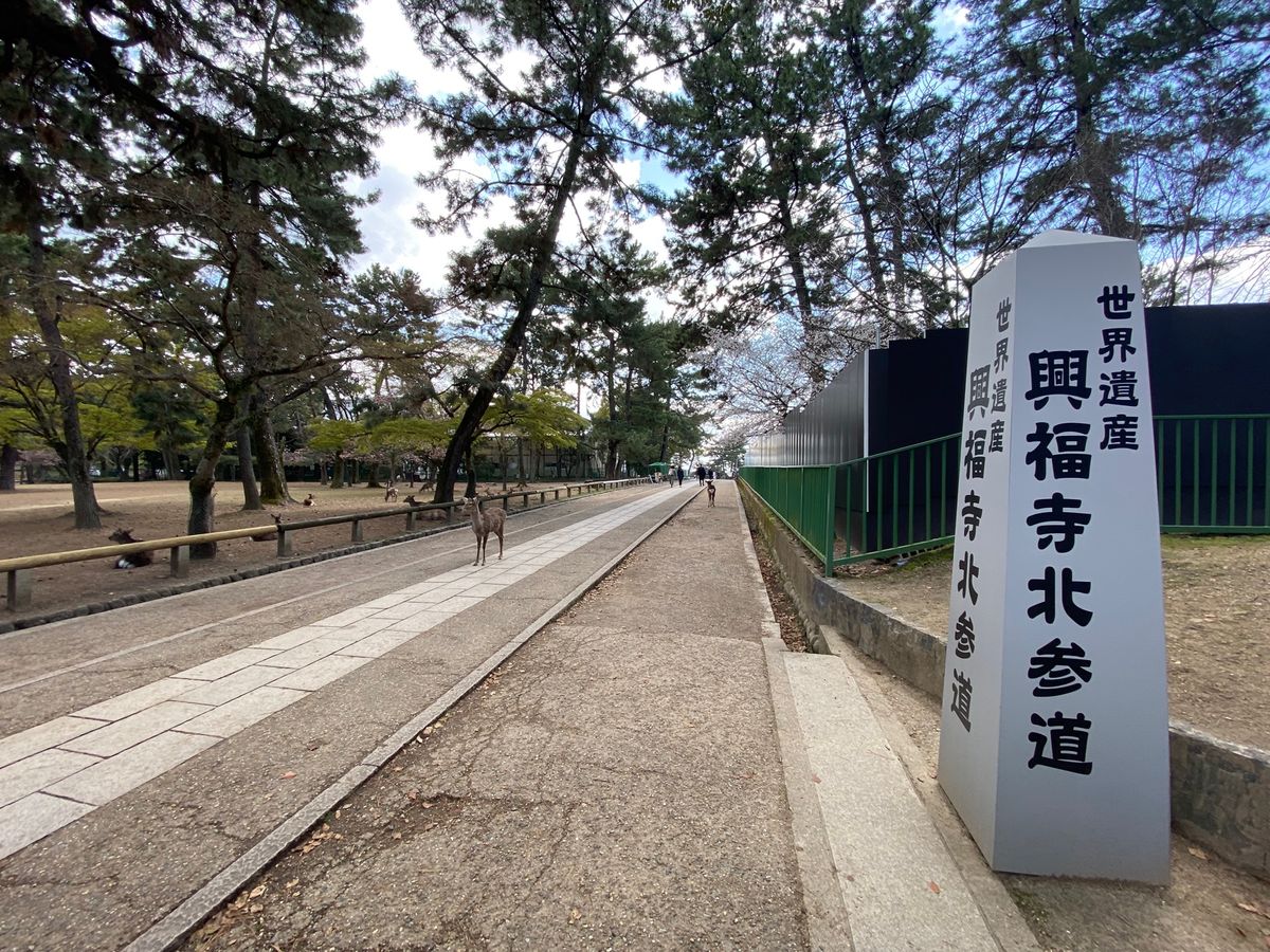 興福寺！
前行ったときは工事してたけど、見られた！
世界遺産！

鐘の音が...