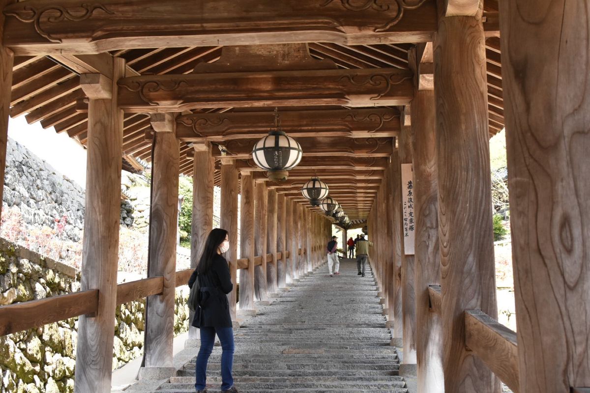 長谷寺！①

桜がちょうどよかった！