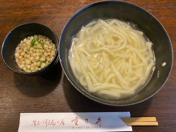 日本・奈良県「のんびり奈良旅！」の写真：うどん！
重乃井さんでいただいた釜揚げう...