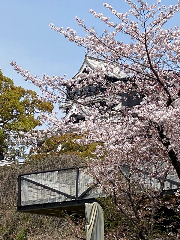 日本・熊本県熊本市「ライブついでに観光」の写真