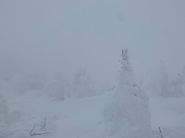 日本・山形県「山形県蔵王」の写真