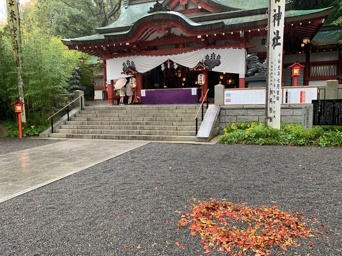 来宮神社⛩