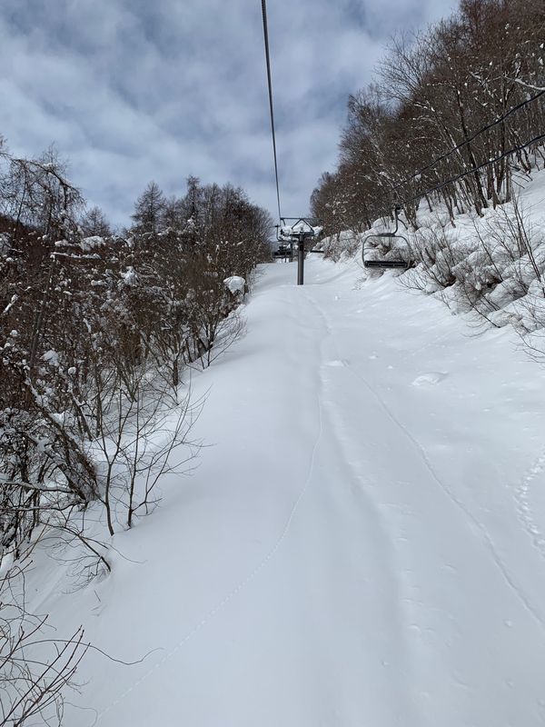 日本・群馬県「尾瀬岩倉　奥利根スキー場」の写真