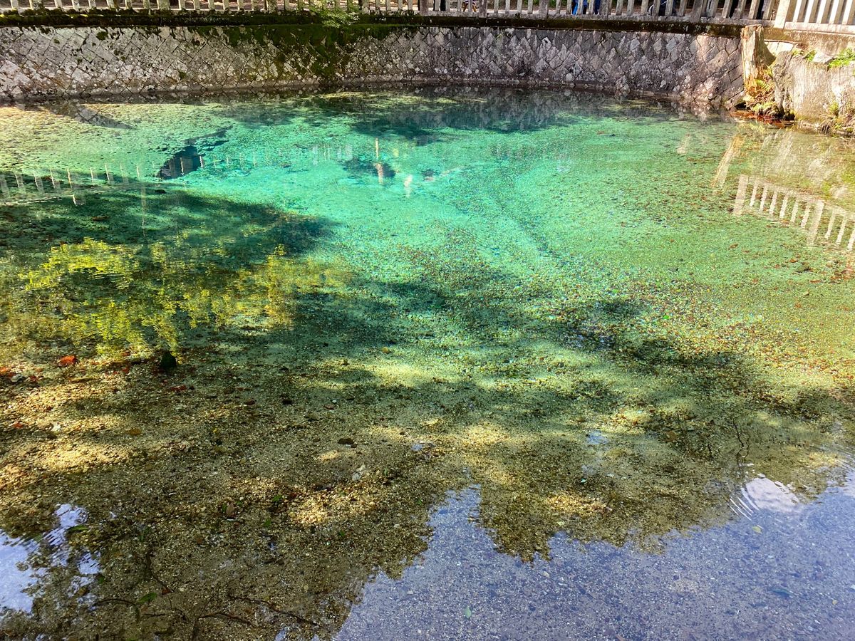 山口宇部空港✈️にて散策
山口県の名物である瓦そばを食べたが、
あんかけそ...