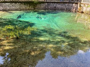 山口宇部空港✈️にて散策
山口県の名物である瓦そばを食べたが、
あんかけそ...