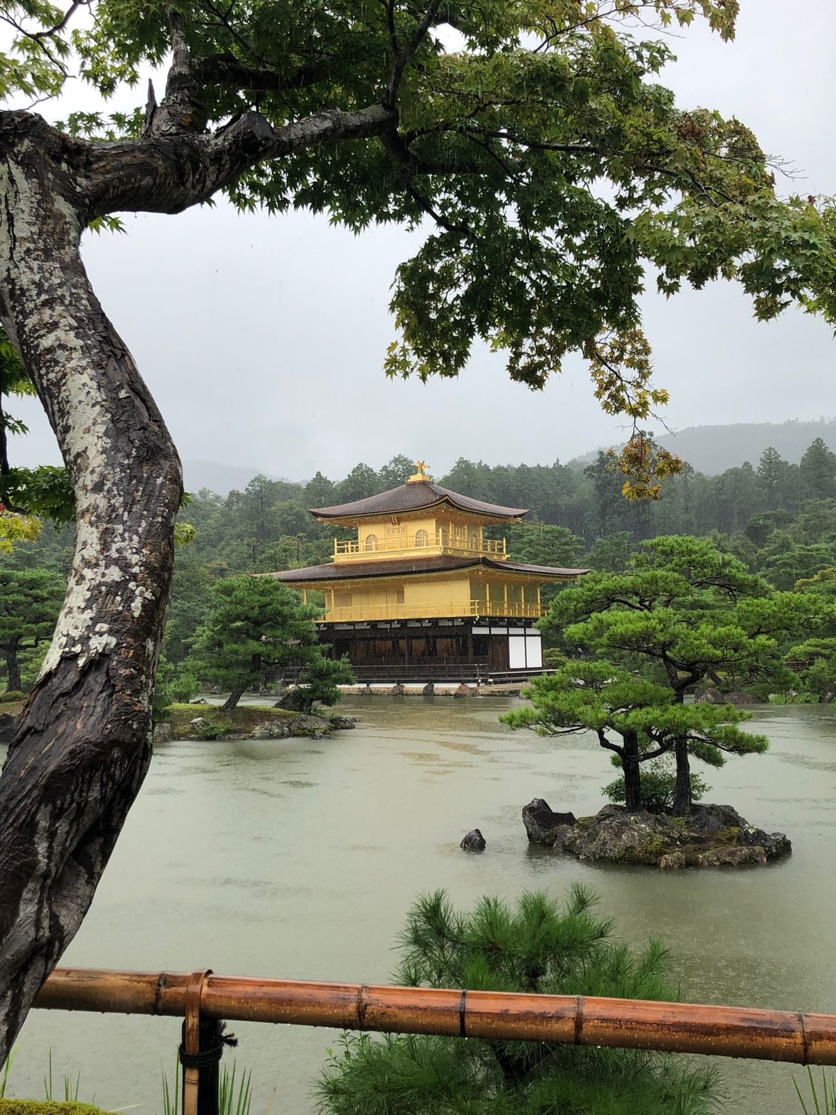 雨、酷かった…