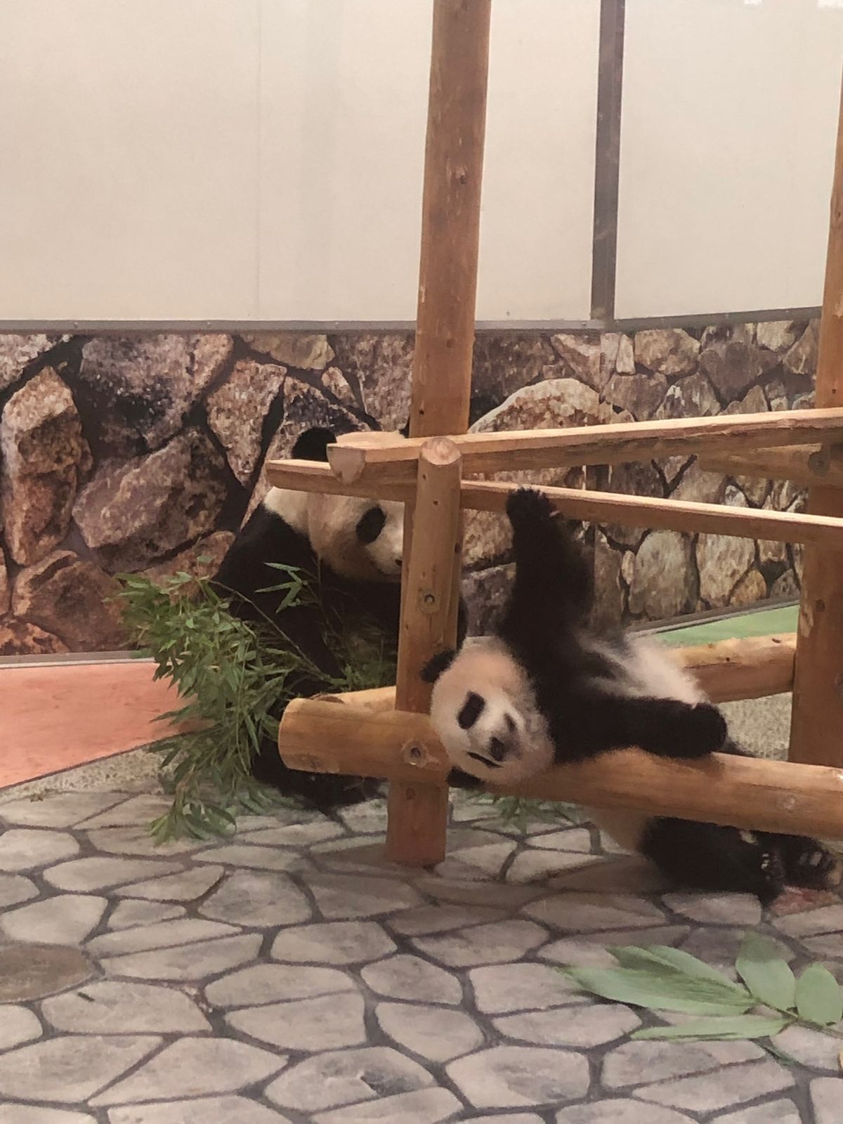 予約して観に行きました！
楓浜かわいー❤️
