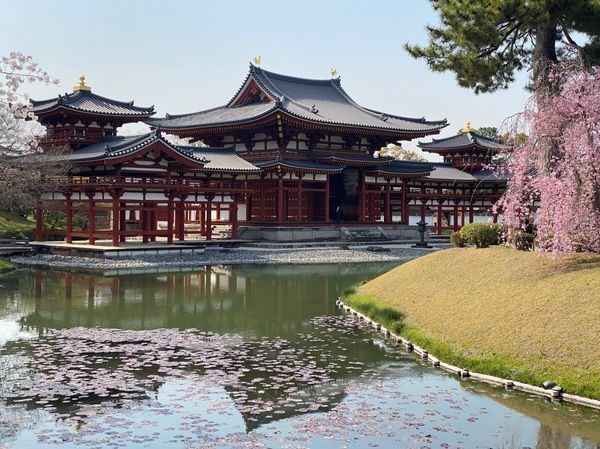 日本・京都「京都・滋賀　2022.04」の写真