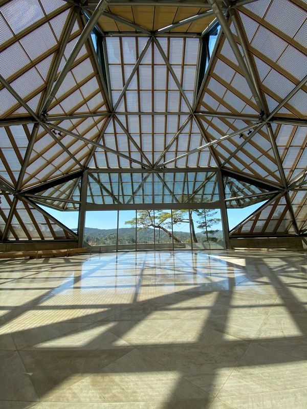 日本・京都「京都・滋賀　2022.04」の写真