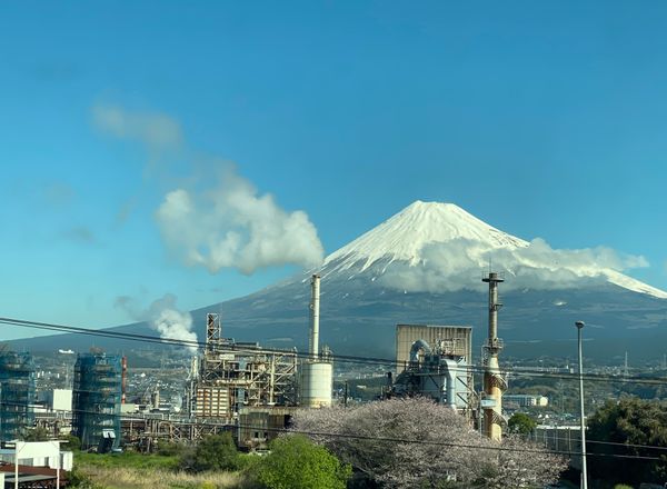 日本・京都「京都・滋賀　2022.04」の写真