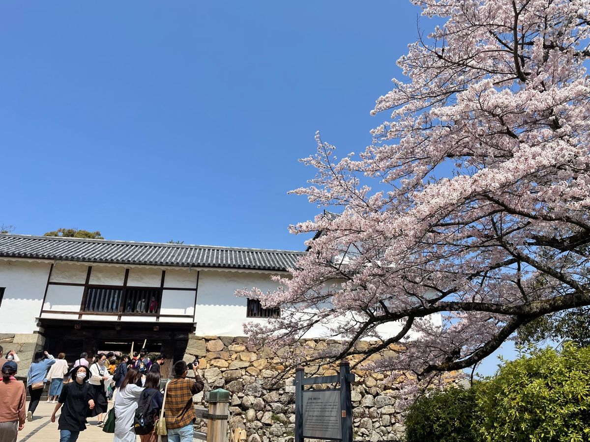 櫓の中にも入ることができました。