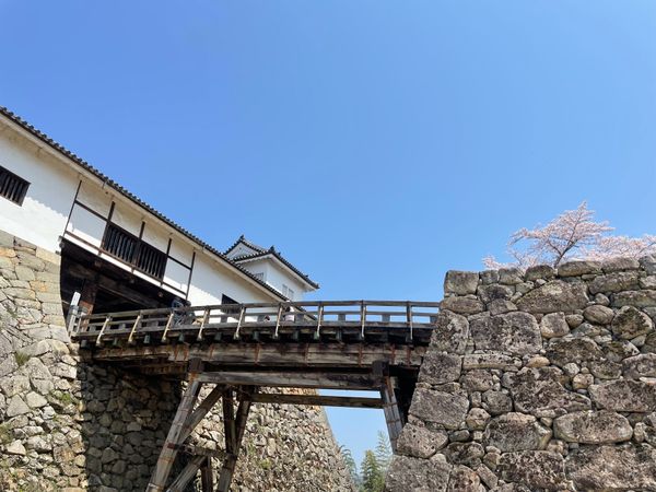 日本・滋賀県「彦根城でお花見」の写真：櫓の中にも入ることができました。