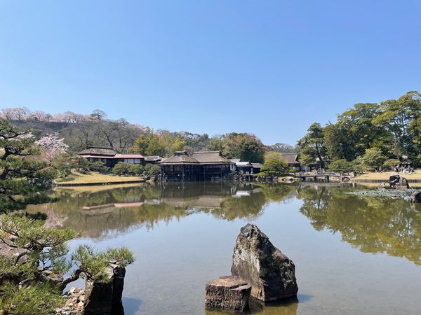 日本・滋賀県「彦根城でお花見」の写真