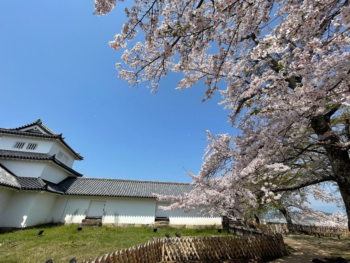 櫓の中にも入ることができました。
