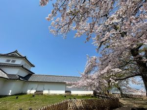 櫓の中にも入ることができました。