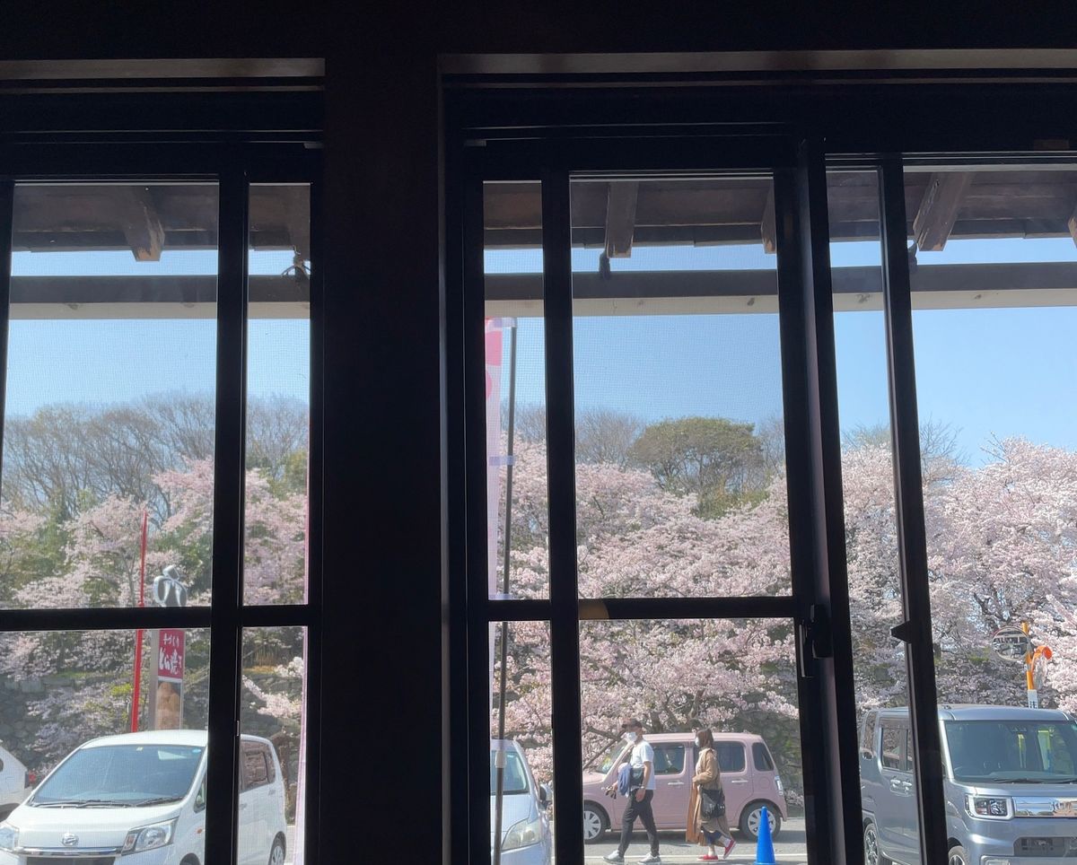 ランチはお堀端にある蕎麦屋さん