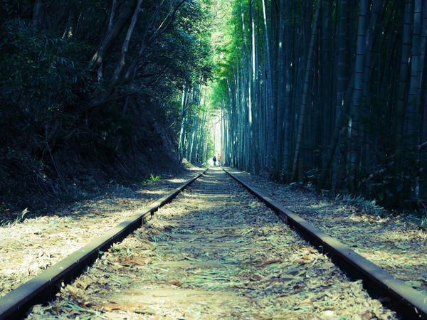日本・岡山県「鳥取旅行」の写真