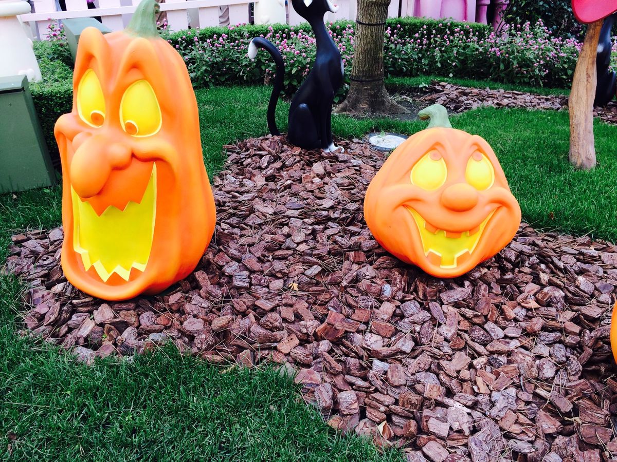 ディズニーランドハロウィン2015 