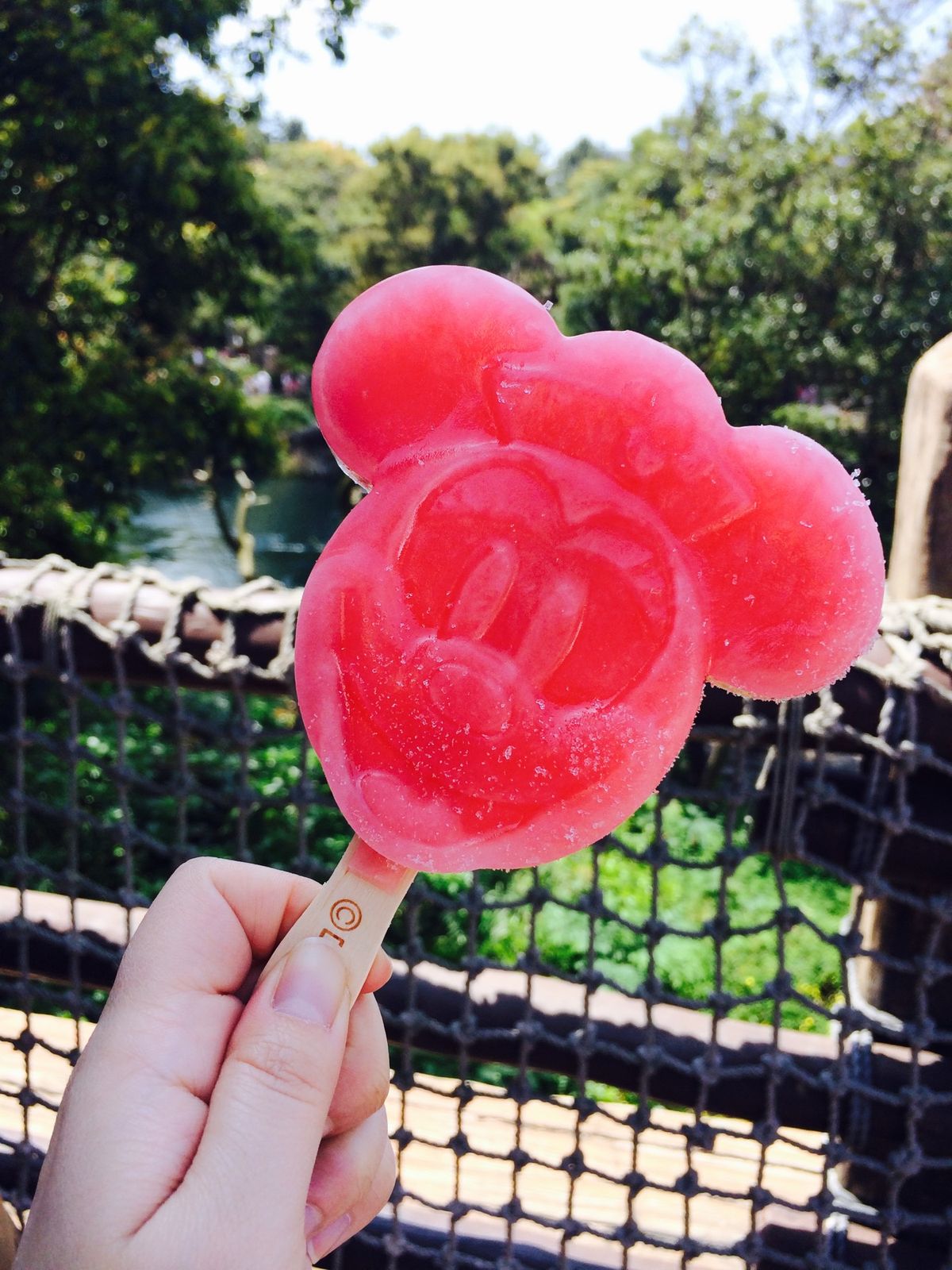 ディズニーシー15周年