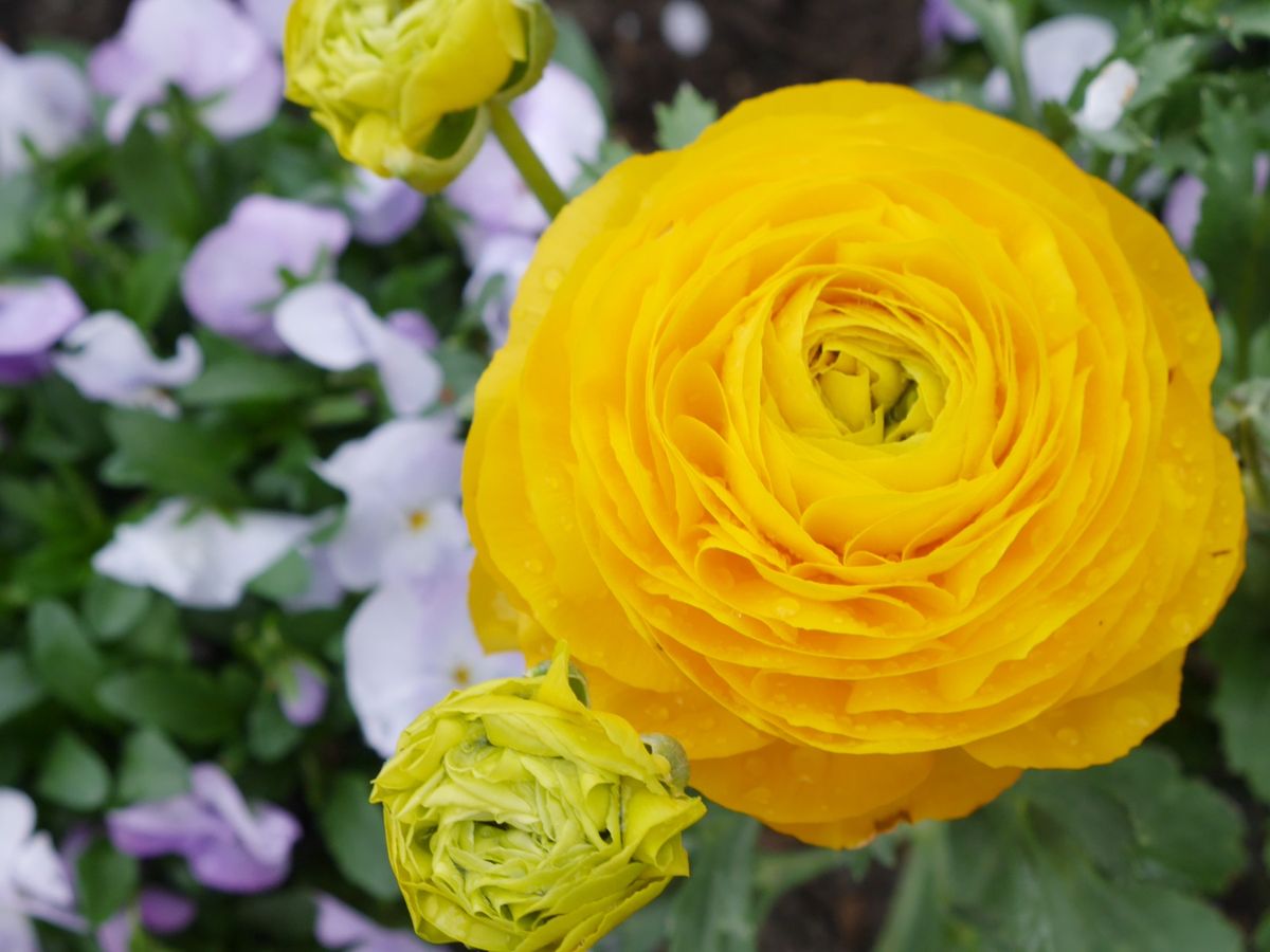 初めてのぱしふぃっくびいなす
美味しいものいっぱい！楽しい事いっぱい！
初...