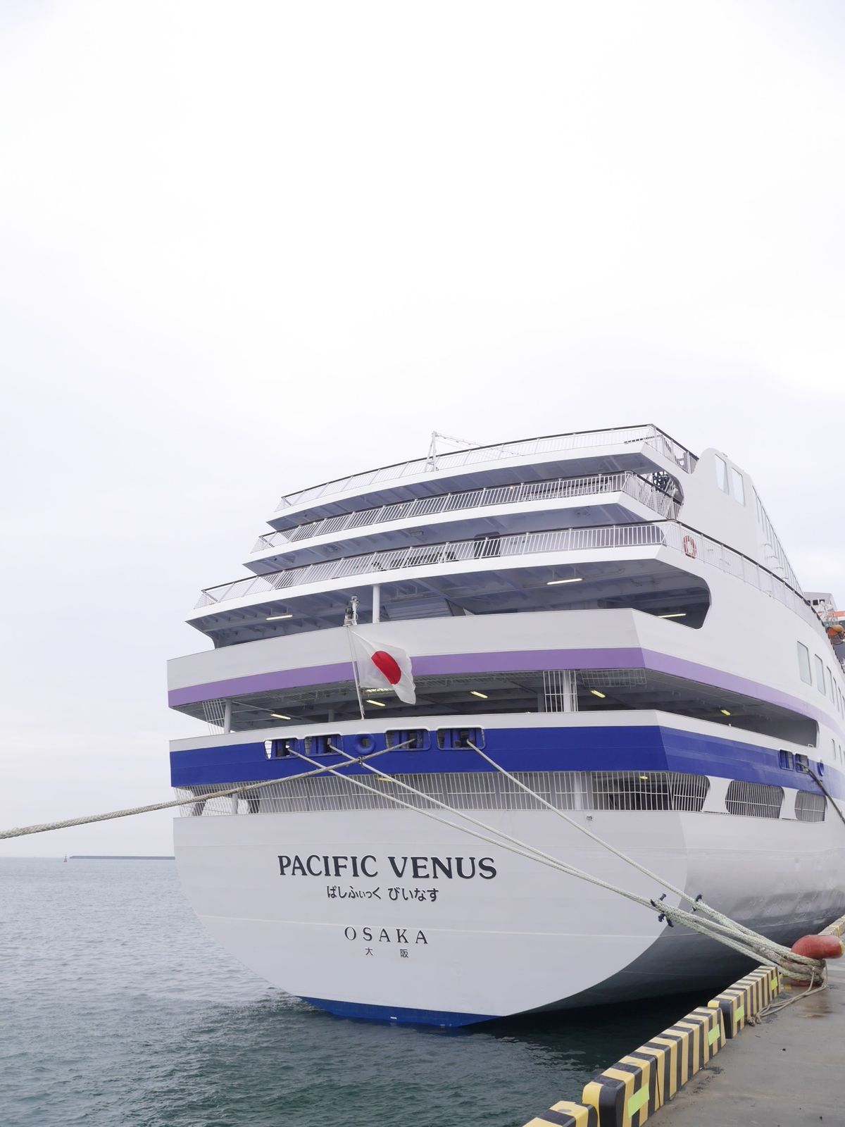 初めてのぱしふぃっくびいなす
美味しいものいっぱい！楽しい事いっぱい！
初...