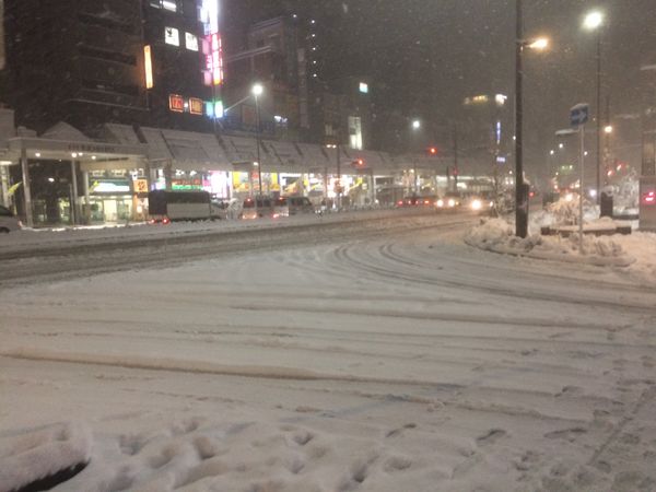 日本・東京都「大雪」の写真