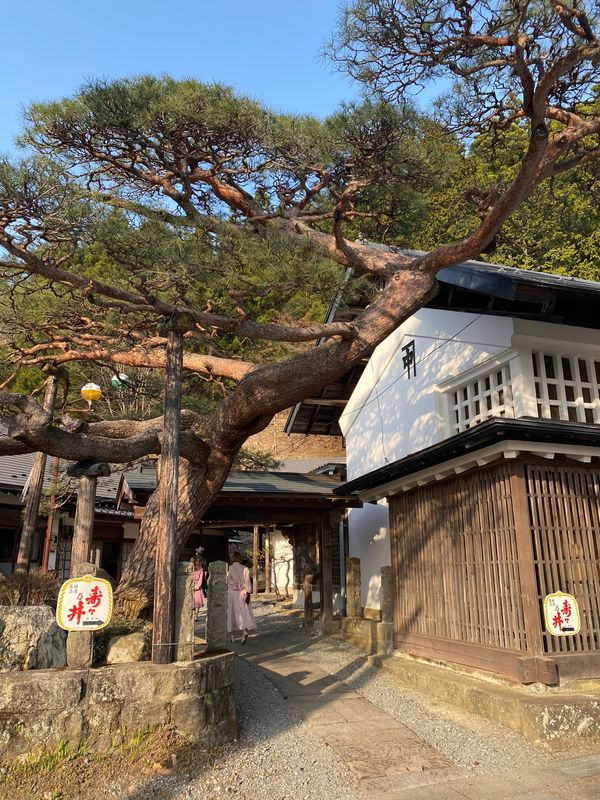 日本・福島県「福島旅行」の写真：宿に行く前に、夜の宴会（？）のために日本...