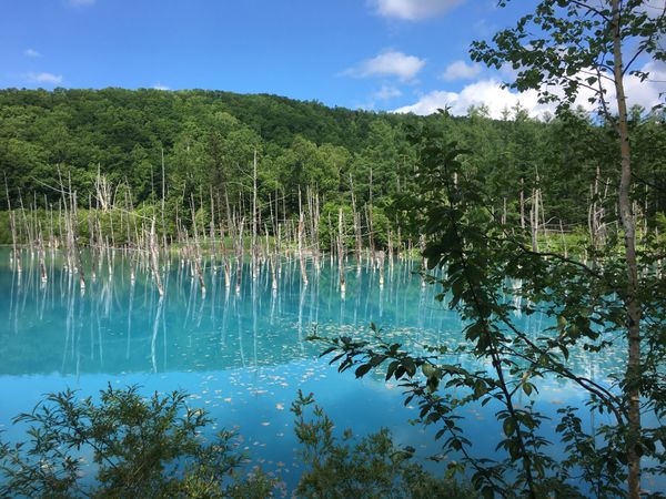 日本・北海道「北海道北部」の写真