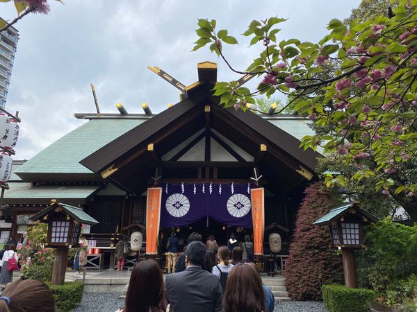 日本・東京都「日帰り東京旅行」の写真：東京大神宮
