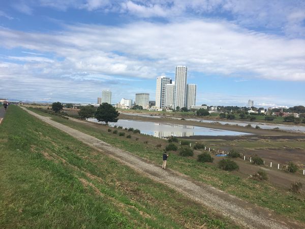 日本・神奈川県「水害」の写真