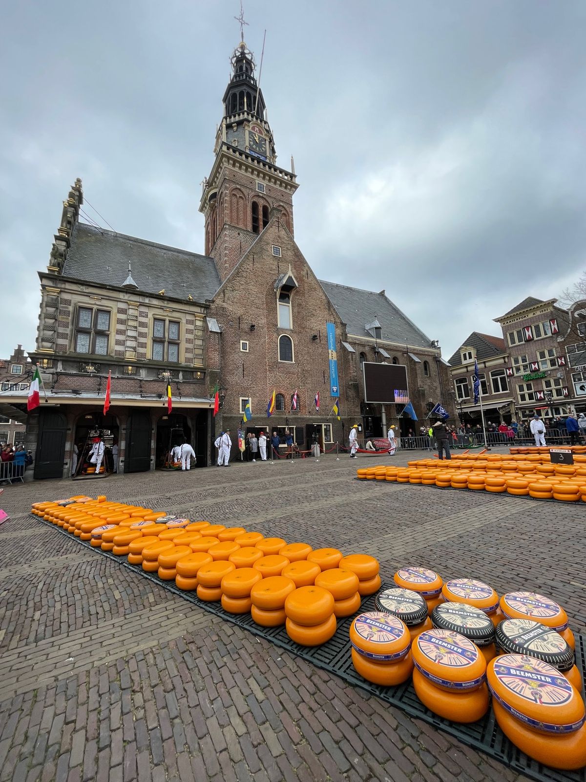 チーズマルクト、アルクマール